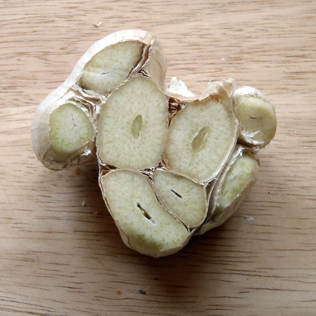 inside hardneck garlic