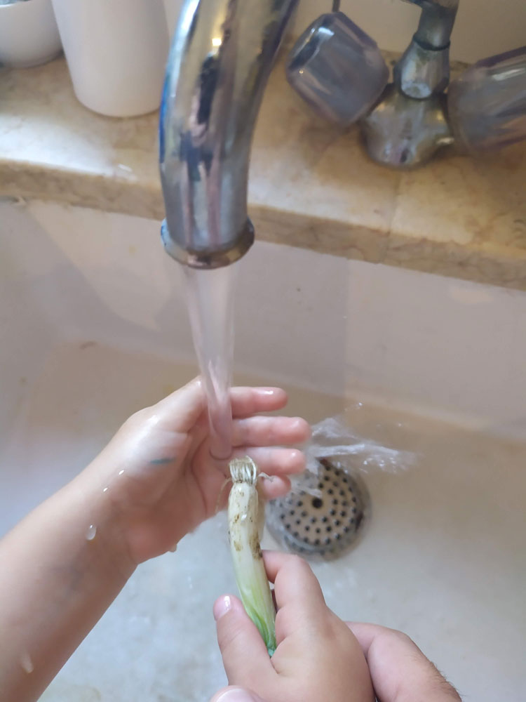 washing green onion roots