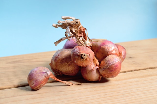 11 Most Common Reasons Why Are Your Onions Dying