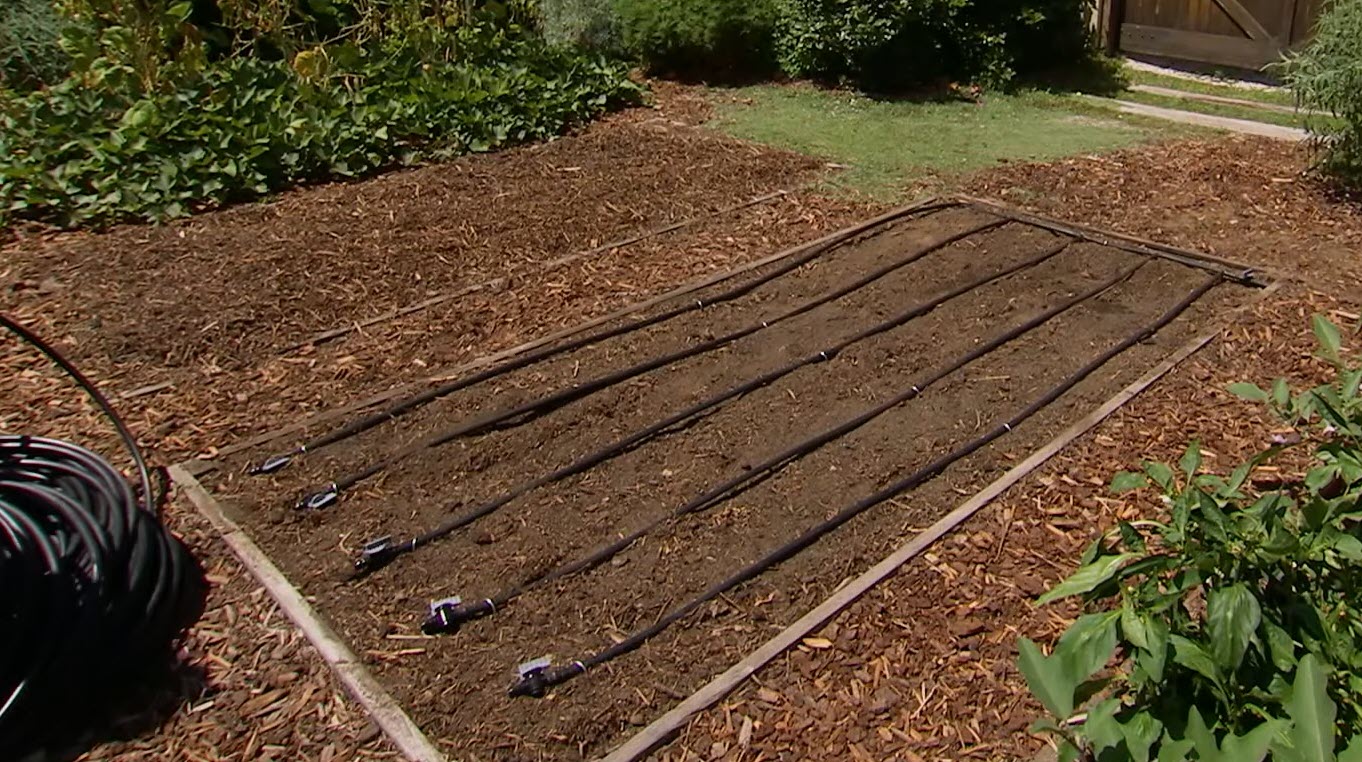 The Benefits of Using a Water Irrigation System in Your Garden